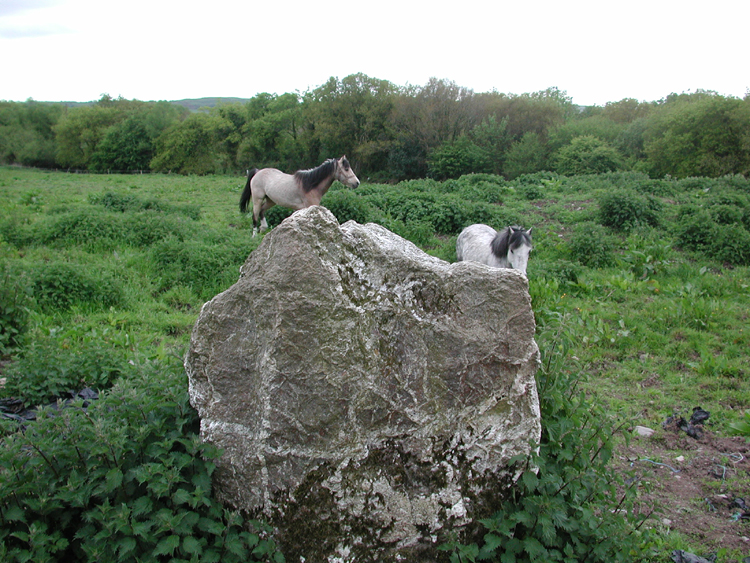 Mass Stone, Killowen.jpg 461.5K